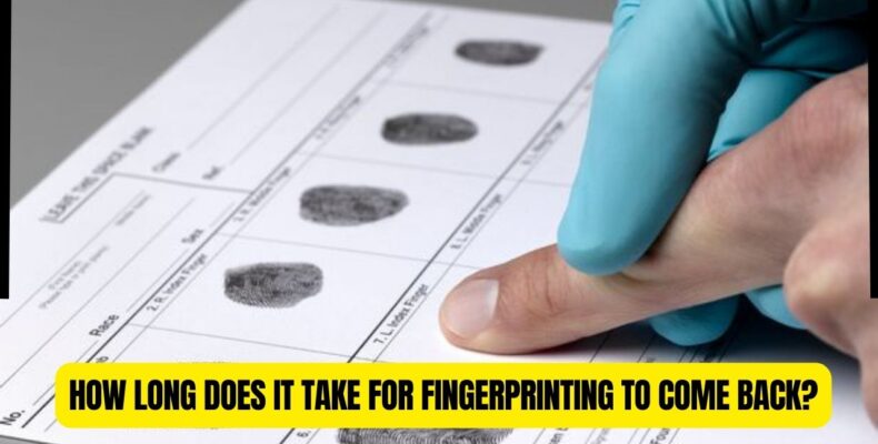 How Long Does it Take for Fingerprinting to Come Back