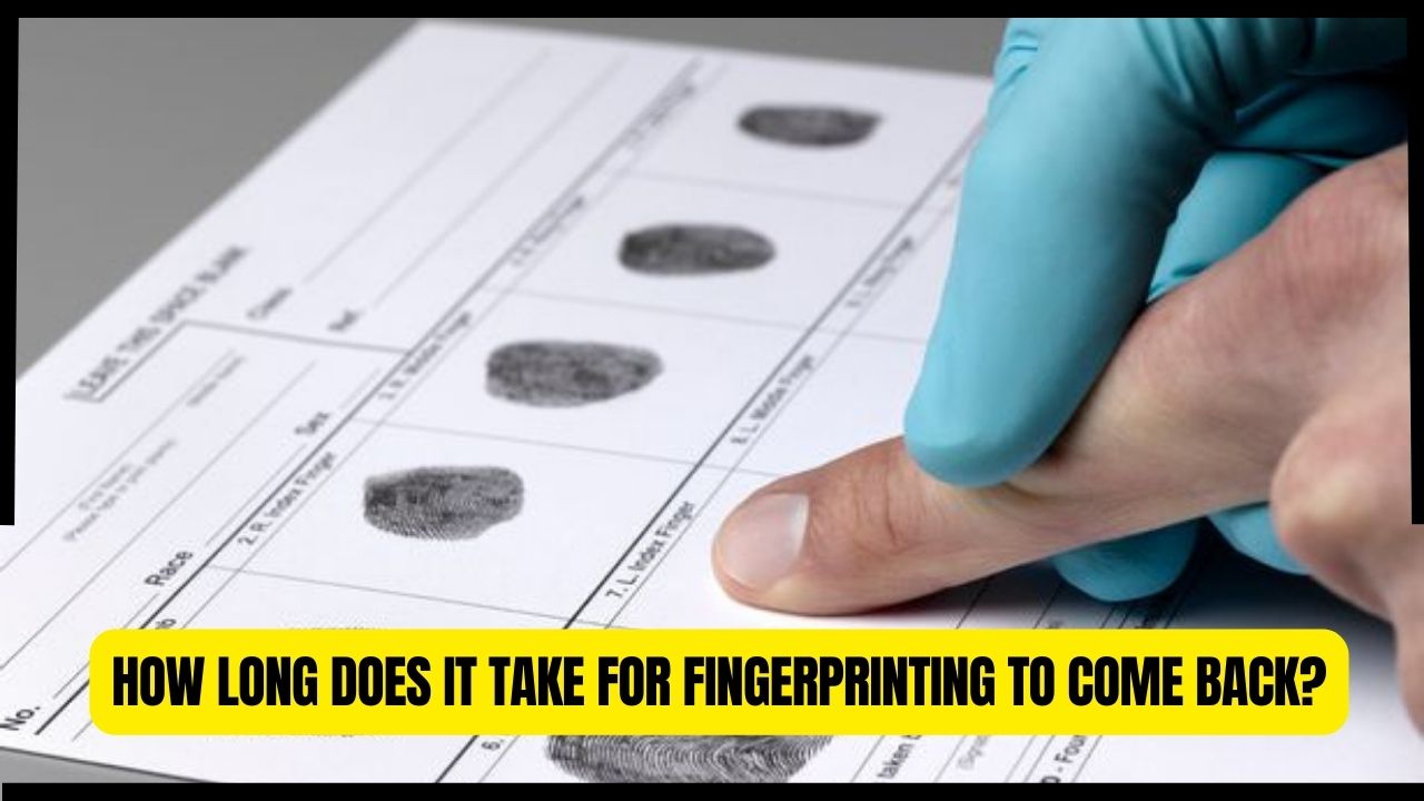 How Long Does it Take for Fingerprinting to Come Back